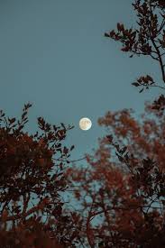 The name refers to the short season for harvesting strawberries in northeastern north america. Strawberry Moon The Full Moon Of June Scitaupe