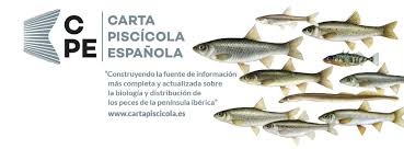 spanish fish chart sibic