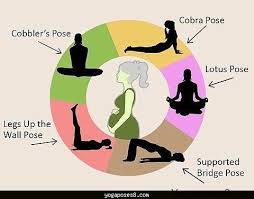 Pin On Yoga Poses