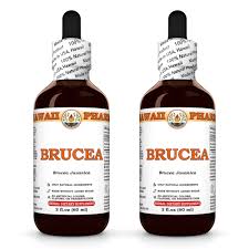 Image result for Brucea
