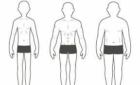 Celebrities with straight body types include bella hadid, natalie portman, and cameron diaz. The Three Different Body Types And How They Affect Your Training