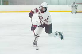 Photos: Orchard Park boys hockey beats Lancaster, 8-1
