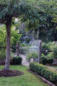 Prolific bloomers, they can be used as sweetly fragrant evergreen accents, low flowering hedges and pretty container plants. Garden Inspiration From A Medium Sized Garden The Middle Sized Garden Gardening Blog