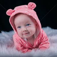 Stock Image Search Results