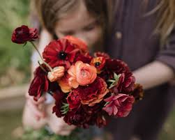 Image result for Ranunculus raeae