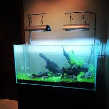 351 Likes 3 Comments Ada Natureaquarium Philippines Adaphilippines On Instagram Project Romeo Our First Nature Aqua Nature Aquarium Aquarium Aquascape