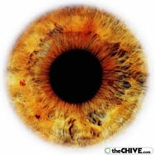 Beautiful Thechive Eye Drawing Iris Drawing Eye Art