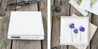 So Trocknest Du Einfach Und Schnell Blumen In 2 Minuten Blumen Pressen Getrocknete Blumen Blumen