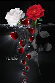 Pin By Nilros Love On Kelebek Beautiful Rose Flowers Beautiful Flowers Very Beautiful Flowers