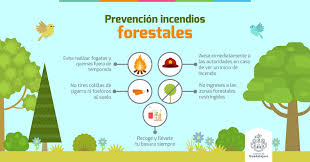 Encuentra imágenes de incendios forestales. Con Tu Ayuda Podemos Prevenir Posibles Incendios Forestales Pagina Oficial Del Gobierno De Guadalajara