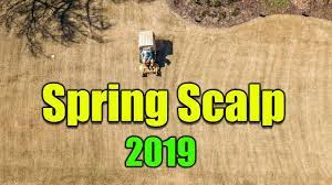 In addition to a physical exam, the doctor. Scalping Bermuda Lawn Youtube