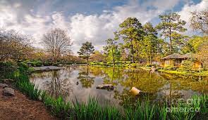 Panorama Of Late Afternoon At The Houston Japanese Garden In Hermann Park Houston Texas Photograph By Silvio Ligutti