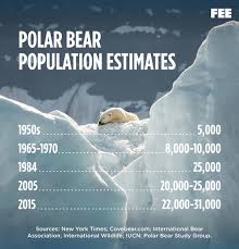 the myth that the polar bear population is declining