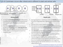 We did not find results for: Essential Idea Cell Division Is Essential But Must Be Controlled Ppt Video Online Download