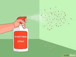 Once the jar is full of flies, wash it out with soapy. 6 Ways To Get Rid Of Fruit Flies Wikihow