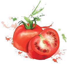 Fruit Et Legumes Dessin Legumes Dessin Fruits Fruits Aquarelle