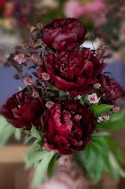 Burgundy Peonies I Cannot Be Certain With My Eyes Today If Roses Or Peonies Fleurs Bordeaux Fleur Amour Et Pivoine