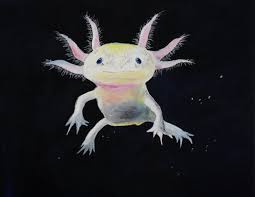 Axolotl In Acrylfarbe Auf Leinwand Susseste Haustiere Ausgestopftes Tier Tierbilder