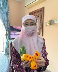 N shamsudin, wmw mahmood, f ismail. 1kejjk95vk5nhm