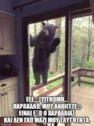 We did not find results for: 530 Looool Ideas In 2021 Xioymor Asteia Mimidia
