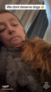 Celebrate Your Loyal Companion: The Joy of Dogs