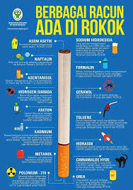 Berbagai Racun Dalam Rokok Kesehatan Pendidikan Kesehatan Obat Alami
