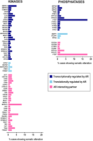 Herunterladen canon ip7200 treiber drucker download für windows 10, windows 8.1, windows 8, windows 7 und mac. Ar Dependent Phosphorylation And Phospho Proteome Targets In Prostate Cancer In Endocrine Related Cancer Volume 27 Issue 6 2020