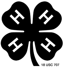 Print all of our four leaf clover coloring page and wear out your green crayons. 4 H Management Texas 4 H