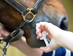 There are various approaches/options available. Comparison About Equimax Vs Zimecterin Gold Horse Wormer