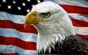 We did not find results for: Bald Eagle And Usa Flag Fireworks Occasion Bald Eagle American Bald Eagle Eagle Painting