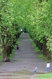 Angela dix zu den bildern Tubingen Sehenswurdigkeiten Fur 24 Stunden Aufenthalt Swiss Nomads