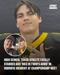 Ozzy Man Reviews critical analysis of Hobby Horses!