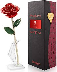 Se bisogno festeggiare il compleanno di una signora: Gomyhom Rosa Pro Regali Donna Placcata Con Oro 24k Fiore Reale Rose Stabilizzata Idee Regalo Per San Valentino Compleanno Festa Della Donna Festa Della Mamma Anniversario Natale Matrimonio Amazon It Casa E