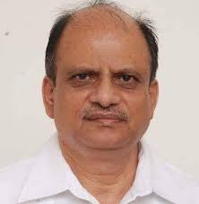 The grey pendulum (Anthoscopus) has a unique defensive strategy to protect  its young from predators. It builds a larger, more visible fake entrance  into its nest, while the real entrance is hidden