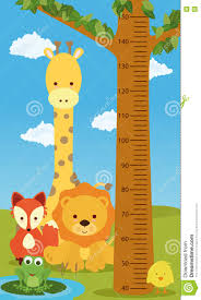 Height Chart Animals Stock Vector Illustration Of Cartoon