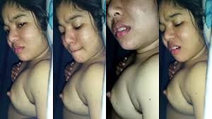 Chubby Assamese wife hairy pussy drilled by husband