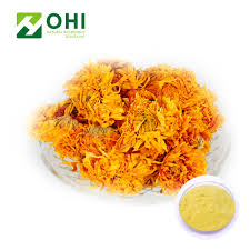 Receive a trade alert for. Calendula Officinalis Flower Extract Dried Calendula Flowers Powder Lutein Capsules Buy Calendula Officinalis Flower Extract Dried Calendula Flowers Powder Lutein Capsules Product On Alibaba Com