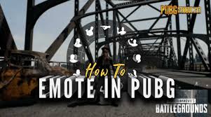 It's nice and simple, thankfully, and you can use all of the emotes with your hands still on the mouse thanks to its implementation as a wheel. How To Emote In Pubg Pubg Settings