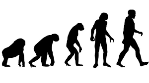 Maybe you would like to learn more about one of these? Scientists Decode Charles Darwin S Evolution Theory After Minister S Ape Comment