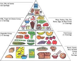 Health Tips The Food Pyramid Chart
