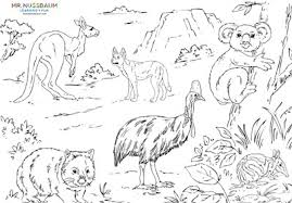 1575x1575 dingo coloring pages to print coloring pages for kids. Mr Nussbaum Dingo Australian Animals Coloring
