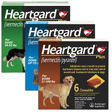 Always speak with your vet if my dog has stomach infection caused by worms, will worm medicine from walmart kill them? Heartgard Plus Heartworm Chewables For Dogs Petcarerx