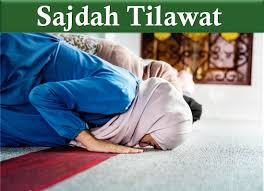 Dinamakan as sajdah berhubung pada surat ini terdapat ayat sajdah, yaitu ayat yang kelima belas. Write A Detail About Sajdah Tilawat In Quran Learn Islam