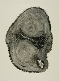 Related to janet gill, kristen gill, laura gill, kenneth gill. Buy Woodcut The Artwork Of Bryan Nash Gill Book Online At Low Prices In India Woodcut The Artwork Of Bryan Nash Gill Reviews Ratings Amazon In