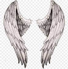 Cartoon wings element line illustration. Tecnicas De Dibujo Dibujo Cuerpo Manos Dibujo Acuarela Alas De Angeles Dibujo A Lapiz Png Image With Transparent Background Toppng
