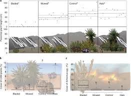 Consider as a preferred benefit, participating provider. Reduced Ecosystem Services Of Desert Plants From Ground Mounted Solar Energy Development Nature Sustainability
