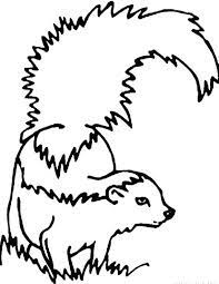 This skunk is known as a striped skunk or mephitis mephitis. Pin On Crafts