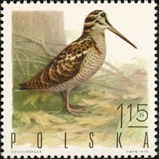 Eurasian Woodcock Stamps Mainly Images Gallery Format Pul