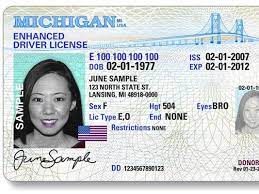 What states issue enhanced licenses? Why You Need An Enhanced Driver S License Now More Than Ever Saginaw Bay Underwriters