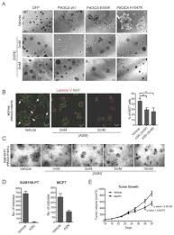 Aspirin inhibits growth of mutant PIK3CA breast cancer cells | Download  Scientific Diagram